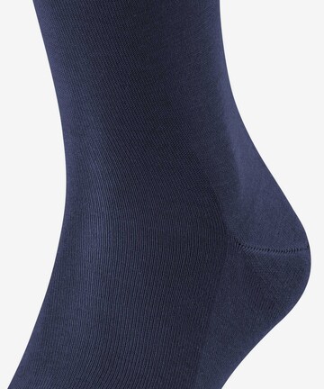 Chaussettes montantes FALKE en bleu