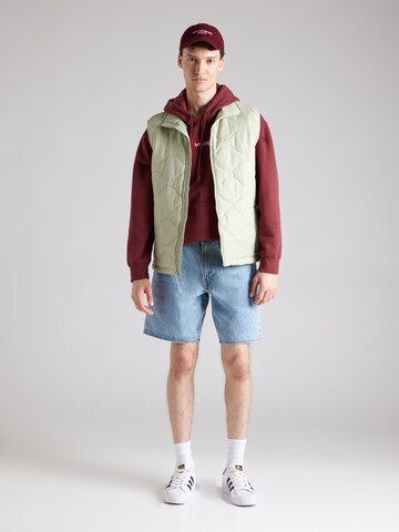 LEVI'S ® Regular Fit Sweatshirt in Rot