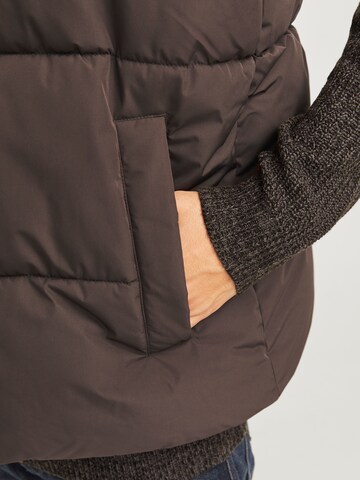 JACK & JONES Brezrokavnik 'JJEBradley' | rjava barva