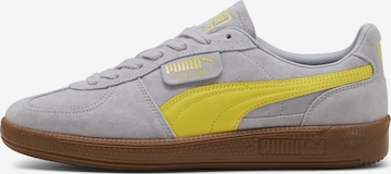 PUMA Sneakers 'Palermo' in Grey: front