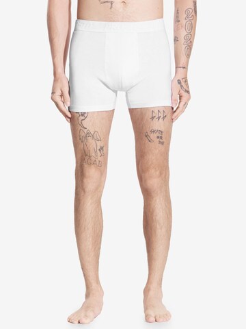 Prosto Boxer shorts in Mixed colors