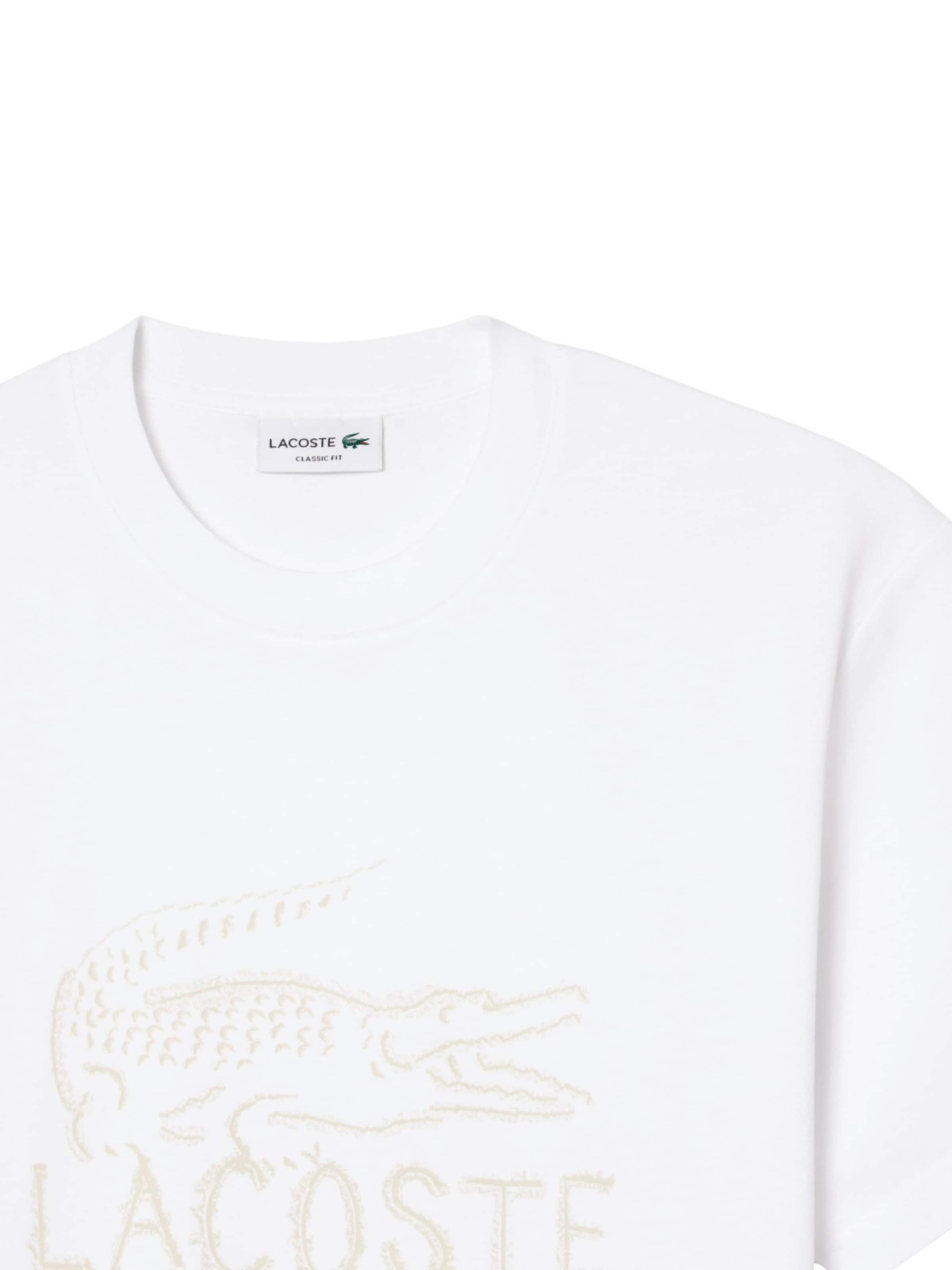 T-Shirt LACOSTE en blanc