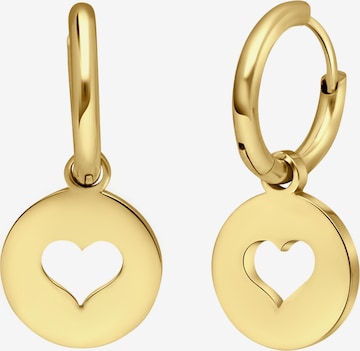 Lucardi Earrings in Gold: front