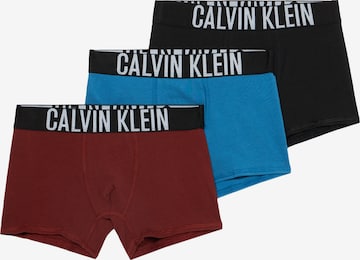 Calvin Klein Underwear Onderbroek in Blauw: voorkant