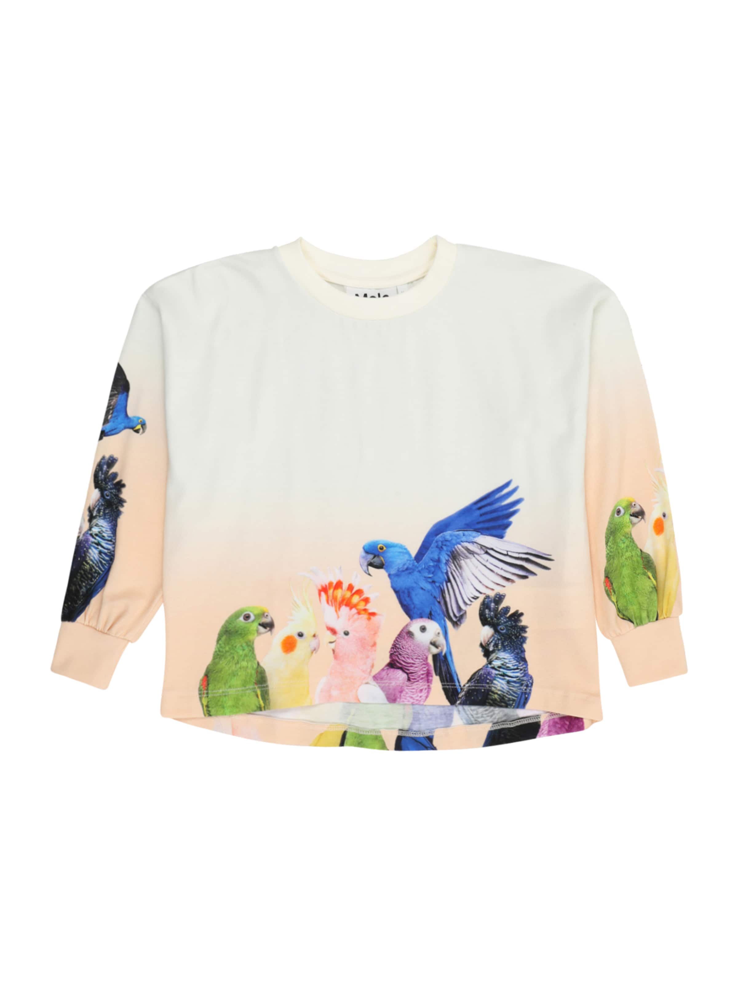 Molo Tričko 'Reniza' – mix barev: přední strana