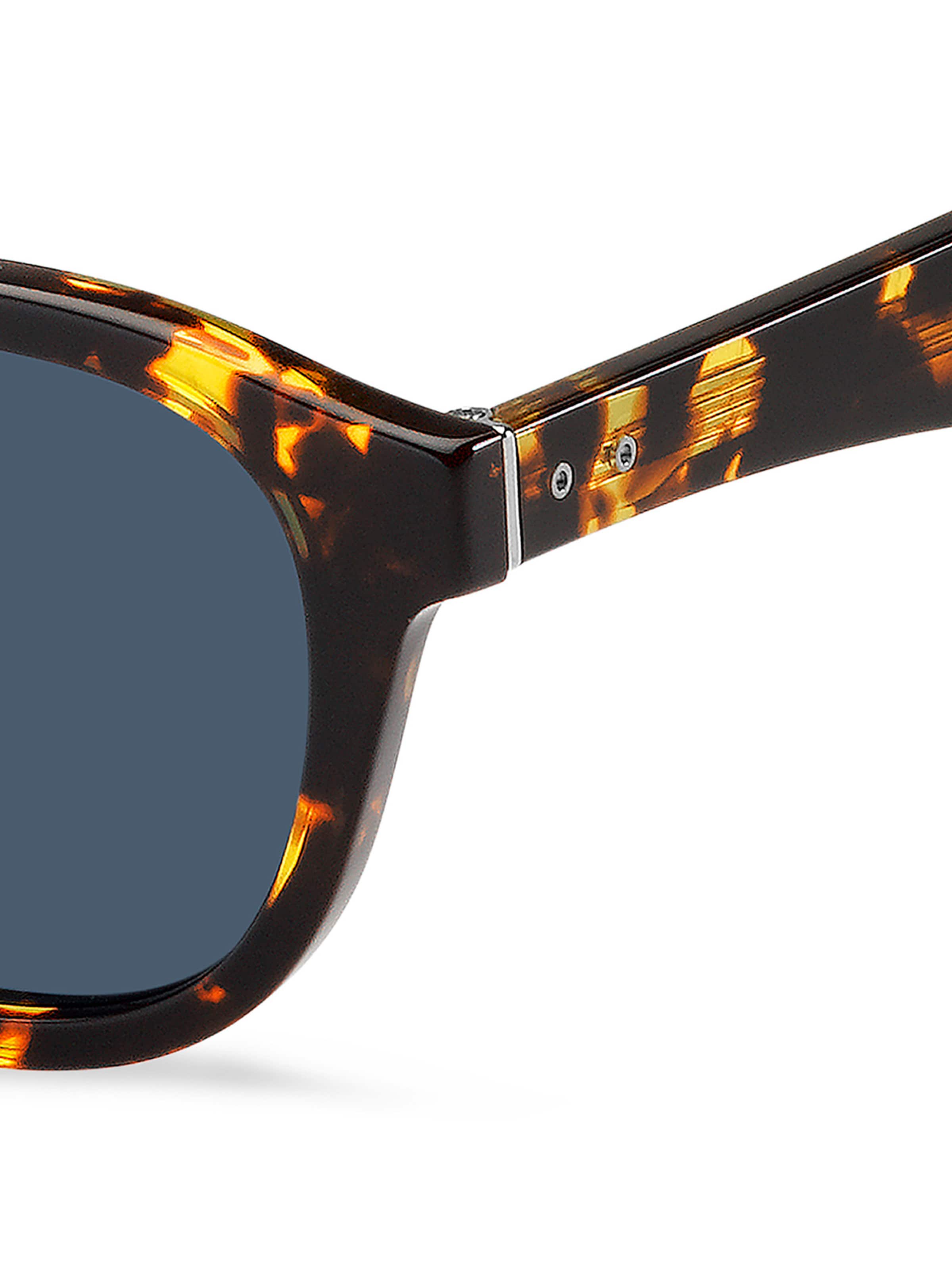 Lunettes de soleil 'TH 2031/S' TOMMY HILFIGER en marron