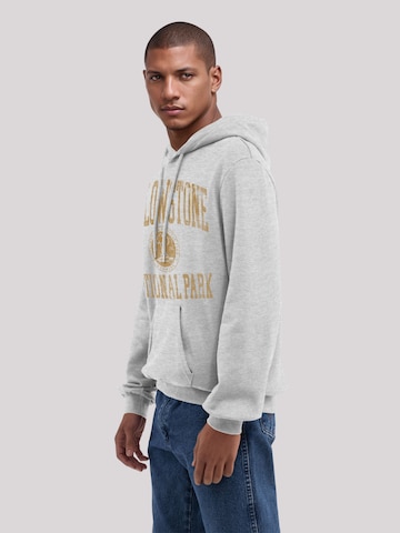 Sweat-shirt F4NT4STIC en gris