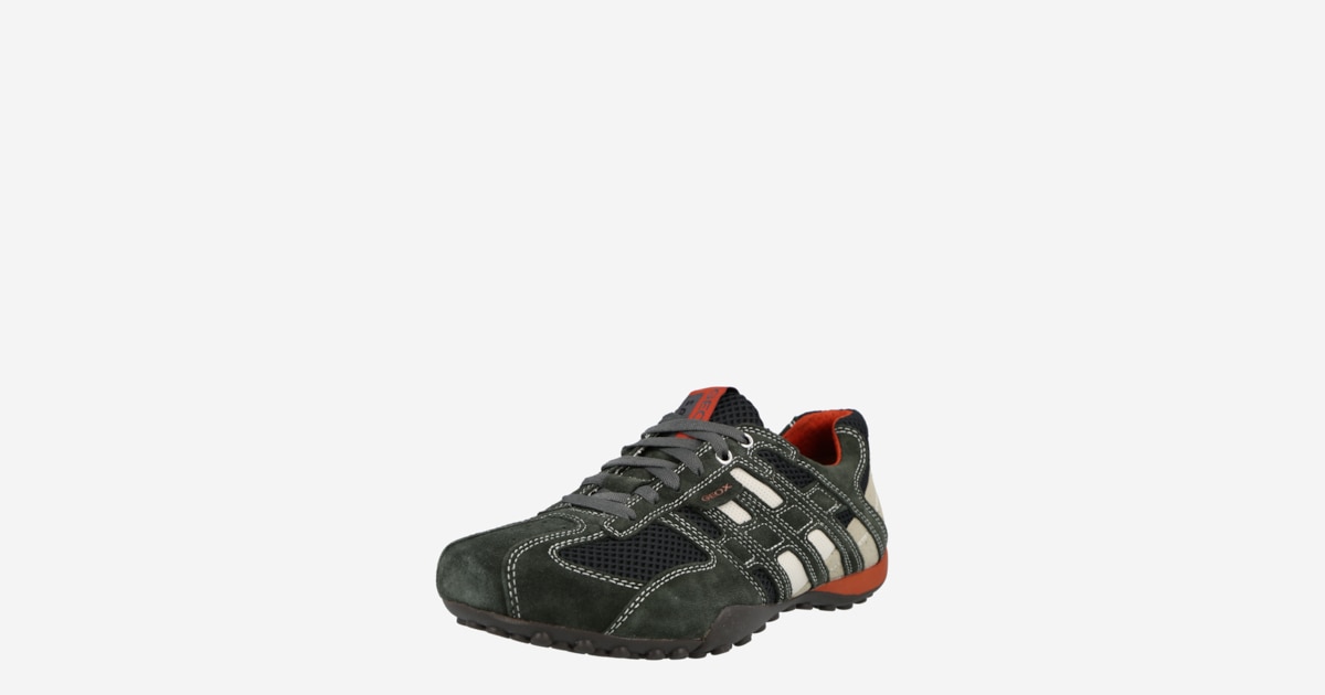 Baskets basses UOMO SNAKE GEOX en Anthracite Gris Clair Gris Fonce ABOUT YOU