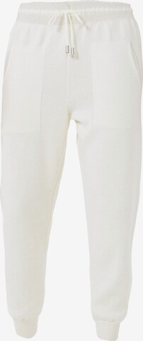 Jimmy Sanders Tapered Workout Pants in White: front