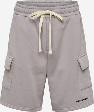regular Pantaloni cargo di Pegador in grigio: frontale