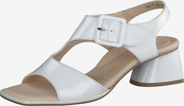 Paul Green Strap Sandals in White: front