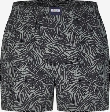 Happy Shorts Boxer shorts ' Motives ' in Grey: front