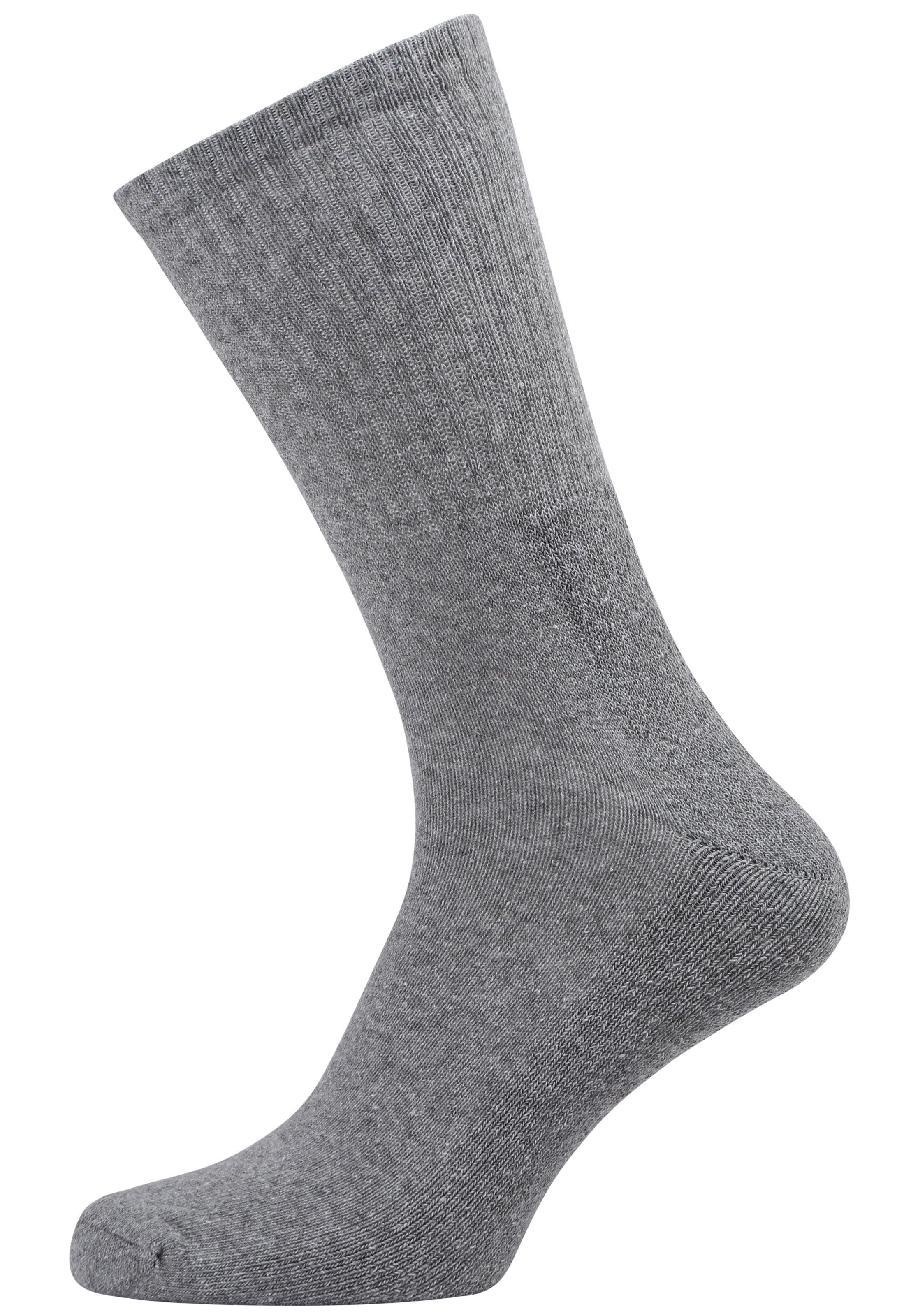 Götzburg Socks in Grey