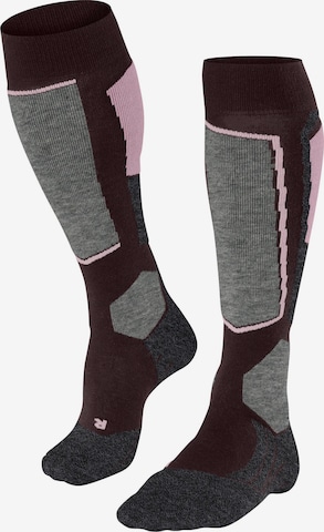 FALKE Sportsocken 'SK2 Intermediate' in Rot: Vorderseite