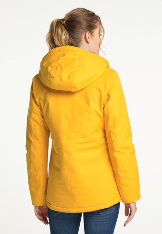 Veste fonctionnelle Schmuddelwedda en jaune