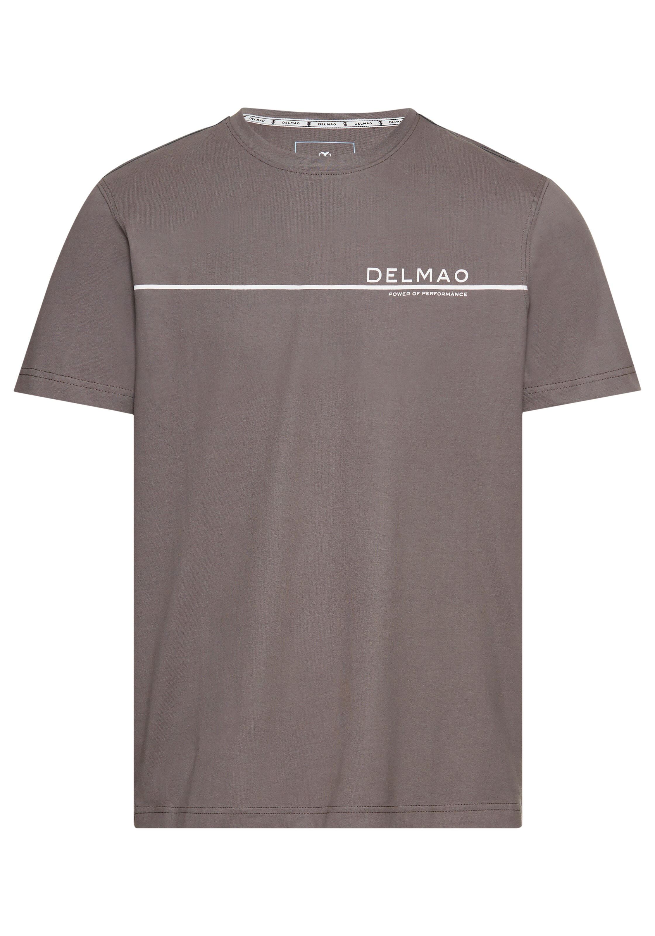DELMAO T-Shirt 'DELMAO ' in Grau: Vorderseite