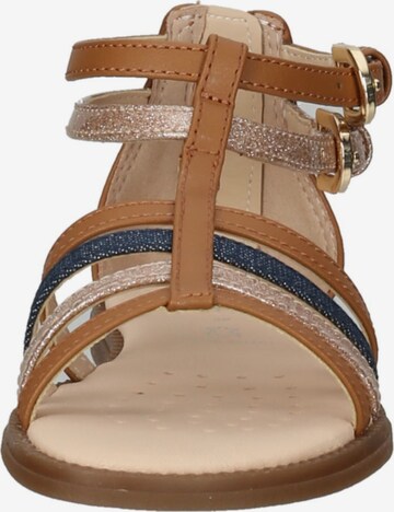 GEOX Sandals 'Karly' in Brown