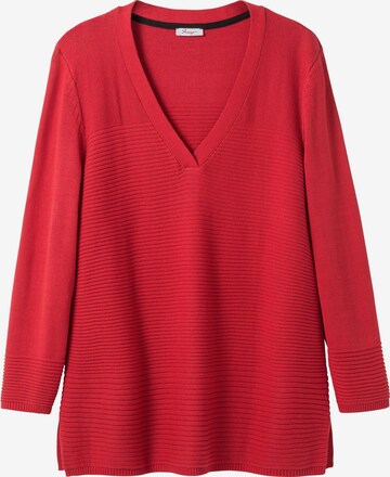 SHEEGO Sweater in Red: front