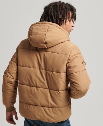 Superdry Between-Season Jacket in Brown