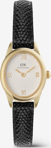 Daniel Wellington Analoguhr in Gold: Vorderseite