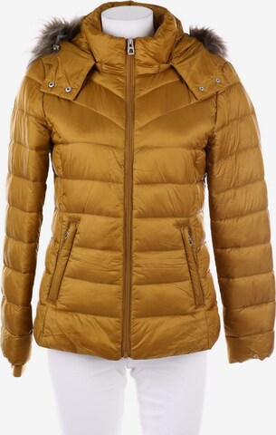 DE.CORP Puffer Jacke XS in Gelb: predná strana