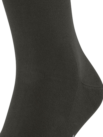 FALKE Socks in Brown