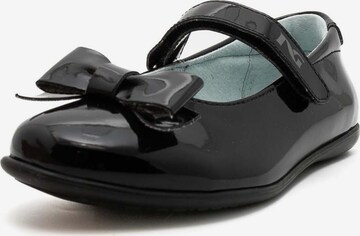 Nero Giardini Ballet Flats in Black