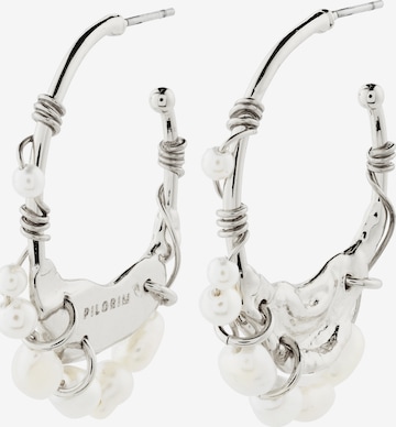 Pilgrim Uhani 'Focus' | srebrna barva: sprednja stran