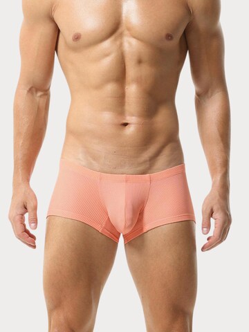 TAUWELL Boxer shorts in Orange: front