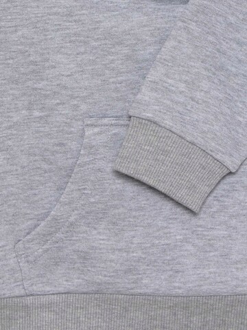 Williot Sweatshirt in Grijs