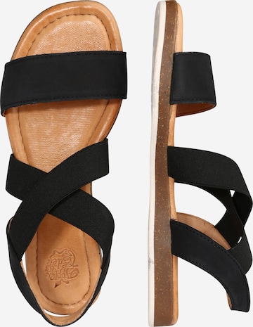 Apple of Eden Sandals 'Iris' in Black