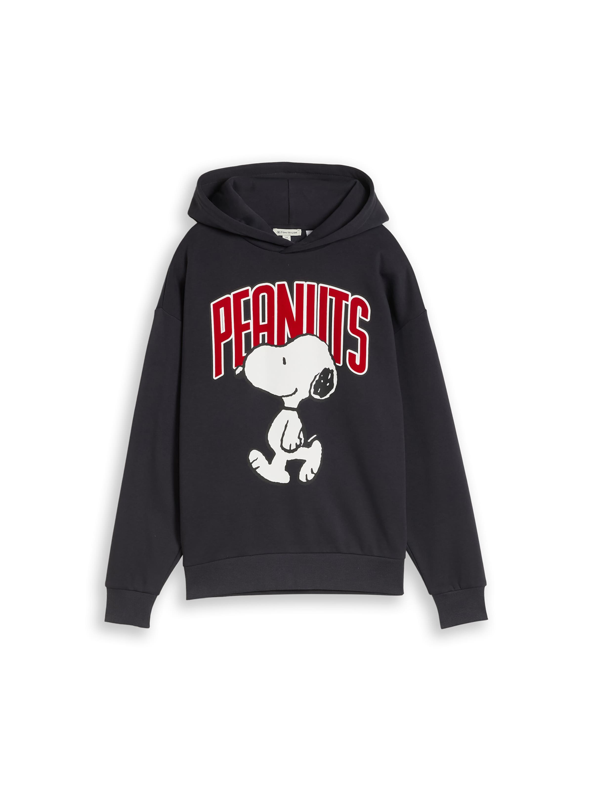 TOM TAILOR Sweatshirt 'Peanuts' in Grey: front