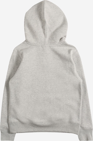 Polo Ralph Lauren Sweatshirt in Grey