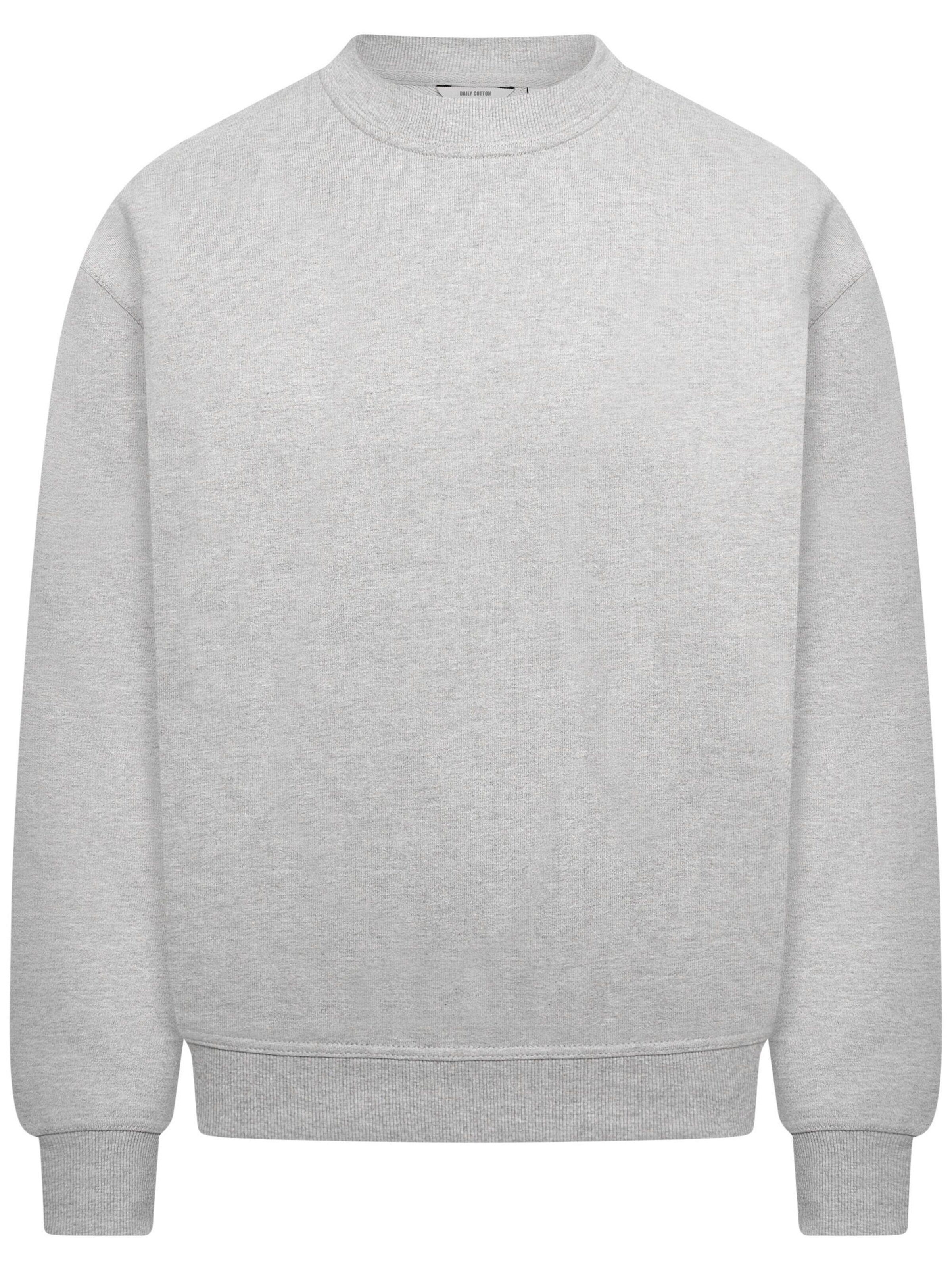 Daily Cotton Sweatshirt 'DCSORIA' in Grey: front