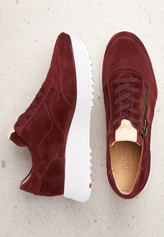 LLOYD Sneakers laag in Rood