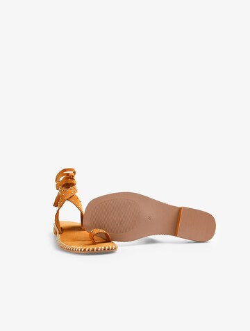 Scalpers Sandały 'Roma Studs' w kolorze brązowy