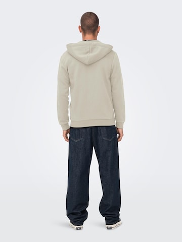 Only & Sons Regular fit Sweatjacka 'CERES' i grå