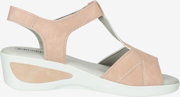 Arcopedico Sandals in Pink