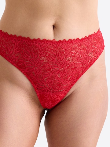 Erlich Textil String 'Dreamy' in Rood