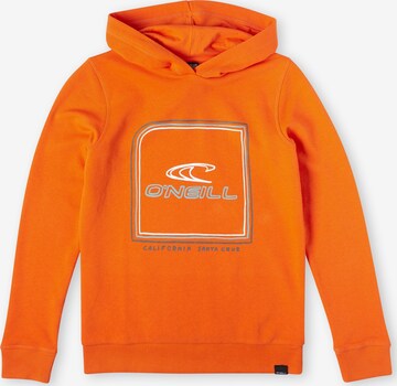 O'NEILL Sweatshirt 'Cube' in Orange: predná strana