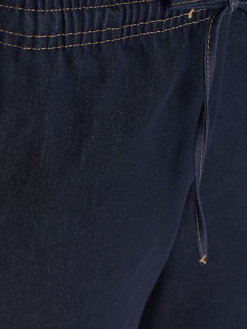 Dilvin Wide leg Trousers in Blue
