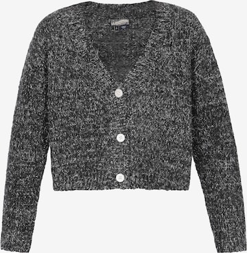 Cardigan DreiMaster Vintage en gris : devant
