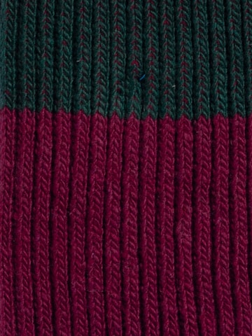 Chaussettes 'Cozy Hansens' DillySocks en mélange de couleurs