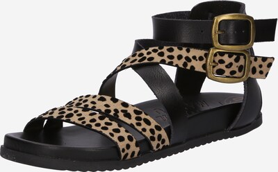 Sandalo con cinturino 'CANDIE' Blowfish Malibu di colore beige / nero, Visualizzazione prodotti