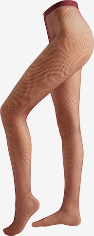 CALZEDONIA Feinstrumpfhose in Rot: Vorderseite