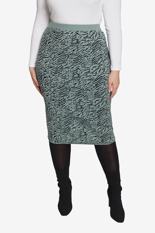 Ulla Popken Skirt in Grey: front