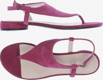 ECCO Sandals & High-Heeled Sandals in 39 in Pink: front