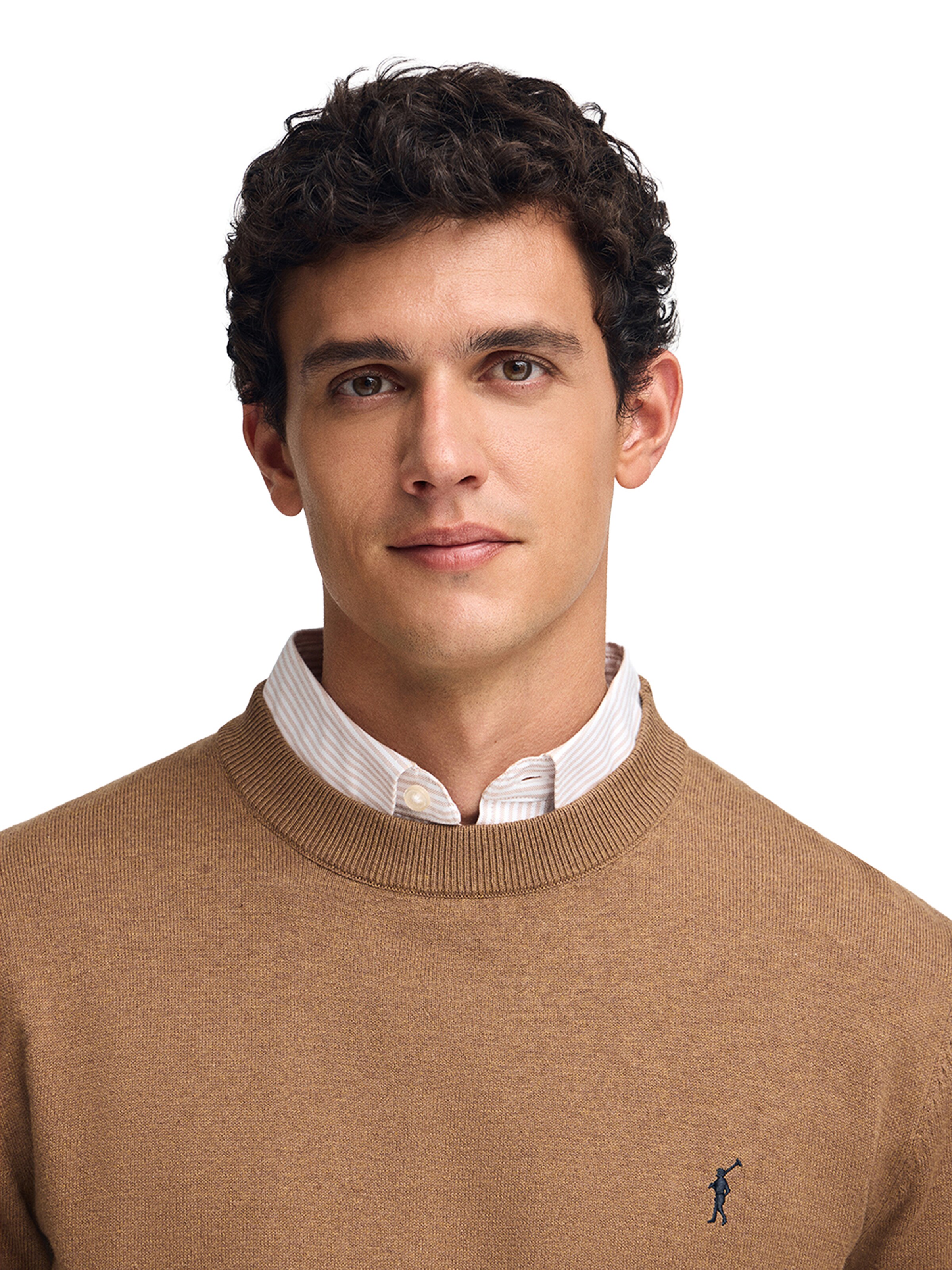 Polo Club Pullover in Braun