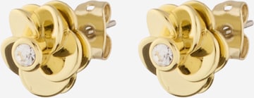 Ted Baker Korvakoru 'Pelipa' värissä kulta: etupuoli