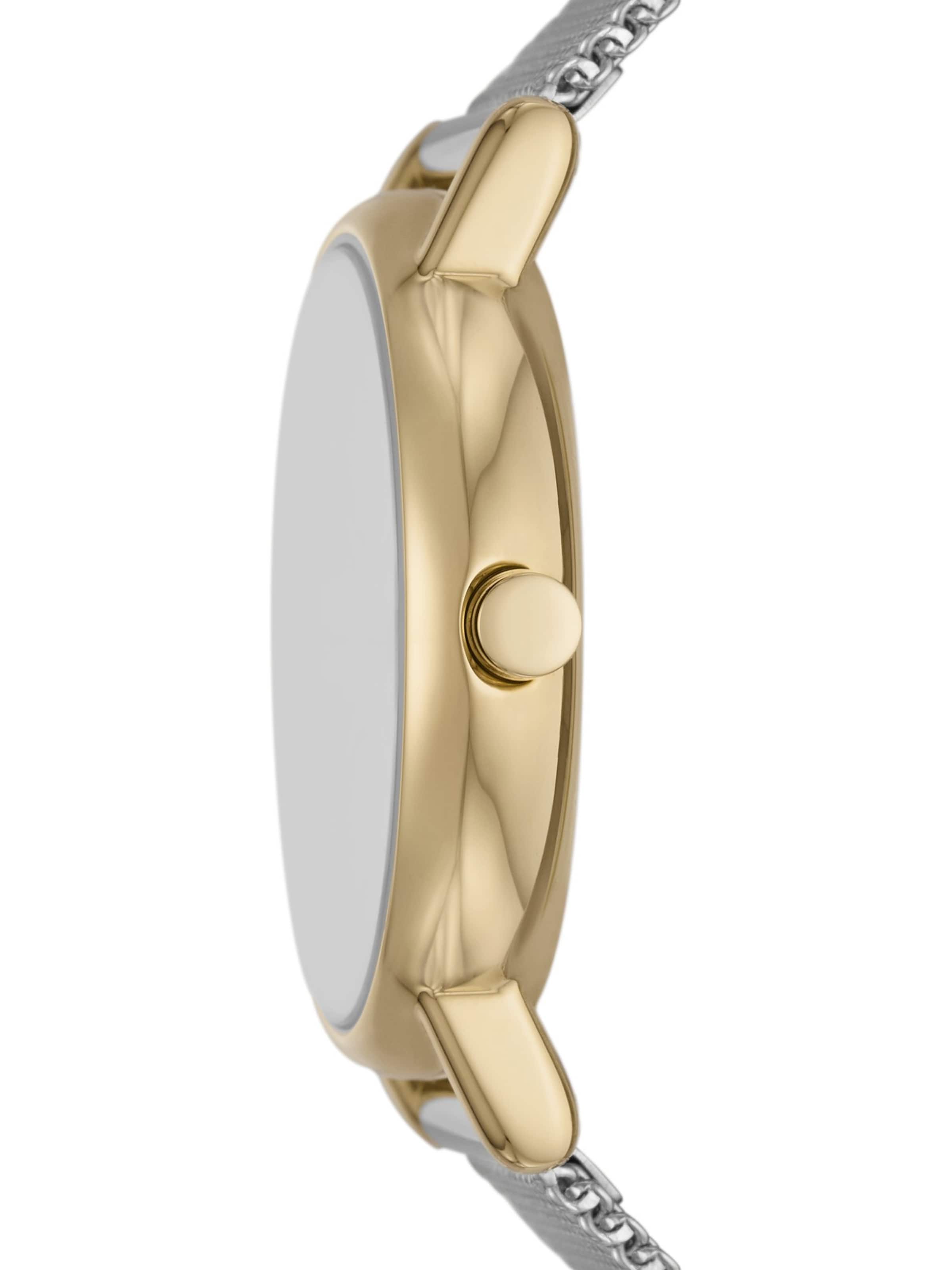 SKAGEN Analog watch in Silver